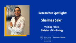 Research Spotlight photo and headshot of Shaimaa Sakr